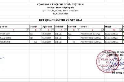 Danh sách học sinh đạt HSG cấp tỉnh năm học 2023-2024