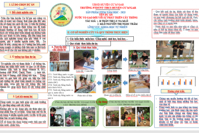 Sản phẩm Stem (vào mục DOLOAND NOW để xem)